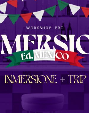 In-Mersione + Trip México  - Plan 1 México